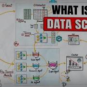 What Data Scientists Actually Do In 2025 Full Breakdown