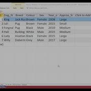 How To Delete Records Using SQL In Microsoft Access
