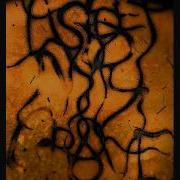 Burn In Hell Demo Dimmu Version Wmv