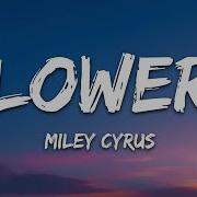Miley Cyrus Flowers Lyrics