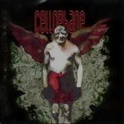 Cellophane I M So Glad You Came 1997