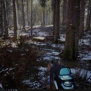 MAWI Conifer Forest Biome Winter Snow Accumulation