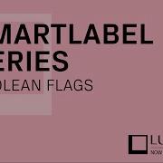 SmartLabels Series 1 Boolean Flags