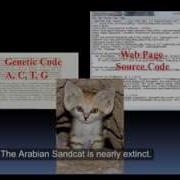 If DNA Is Software Who Programmed Life
