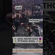 Python Dominates Until Java Gets Angry Funny Coding Shorts