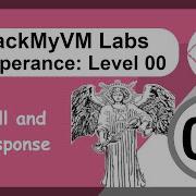 Челлендж с сокетами на Python HackMyVM Labs Уровень Temperance 0x00