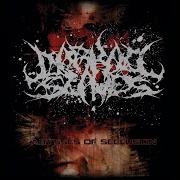 Mindless Damnation