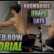 How To Do The SEATED CABLE ROW 2 Minute Tutorial