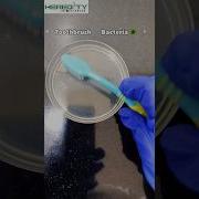 Toothbrush Lab Research Science Biology Ytshorts Shorts Youtubeshorts Labexperiment