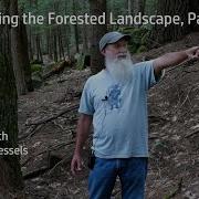 Tom Wessels Reading The Forested Landscape Part 1