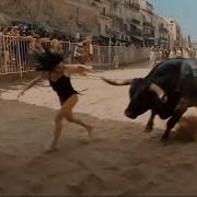 When Animals Go On A Rampage And Got Caught On Camera