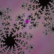 Can Your Eyes Handle This Multi Dimensional Fractal MORPH