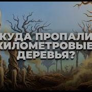 Как гигантские деревья изменили мир и куда они исчезли