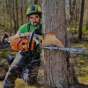 HOW TO AIM A TREE Tree Felling Tutorial