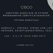 Python Essentials 2 CISCO LAB 3 3 1 18 YOUR OWN SPILIT