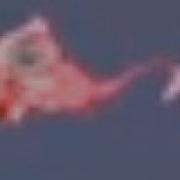 Transformice Survivor But If I Die Once The Video Is Over