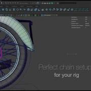 Script Dynamic Chain AutoSetup