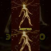 ДУШНИЛА 301