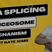 RNA Splicing And Processing RNA Splicing Mechanism Spliceosome