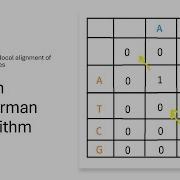 Smith Waterman Algorithm Local Sequence Alignment Made Easy With Example