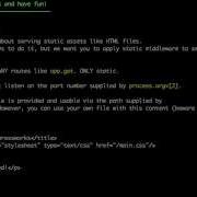 ExpressWorks 2 Static Middleware Solution
