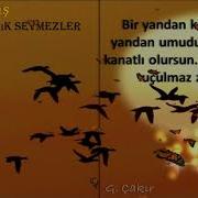 Hiraizerdüş Dünyada Aşık Sevmezler