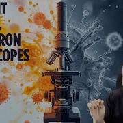 Microscope Types Grade 10 Science