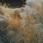 Visualizing The World S Most Violent Tornadoes