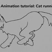 Cat Running Animation Study With Tutorial