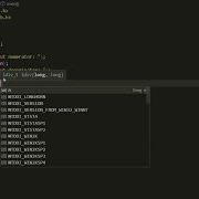 C PROGRAM TO CALCULATE THE INTEGRAL QUOTIENT AND REMAINDER OF A DIVISION