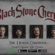 Black Stone Cherry Don T Bring Me Down The Human Condition 2020