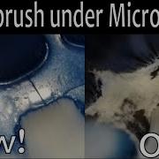 Old Vs New Toothbrush Under Microscope When Should I Replace My Tooth Brush