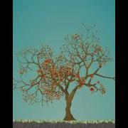 Tree Generator Render Test
