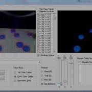 Aforge Color Tracking
