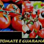 Karaoke Do Panico Michael Jackson Don T Stop Til You Get Enough Paródia