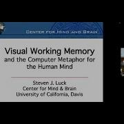 CCSC 2022 Keynote Steven J Luck Visual Working Memory And Computer Metaphor For The Human Mind