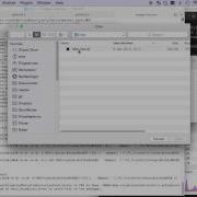 Automate Fiji Tasks With Python