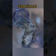 Ice Microscope Zooming Experiment 105