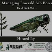 Managing EAB Workshop 3
