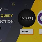 Binary To Routed Query Sql Injection By AkDk