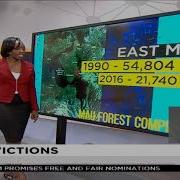 EXPLAINER What Is At Stake In The Mau Forest Complex