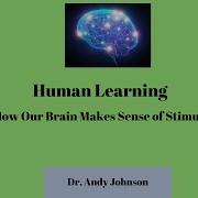 Human Learning How Our Brain Makes Sense Of Stimuli