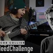 Jacob Collier AllINeedChallenge By Nick Cañas