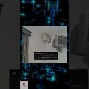 Programing Meme Shorts Viral Trending Codingmeme Youtubeshort Programming Programmermemes
