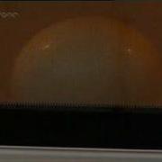 Brainiac Microwaves Big Egg