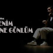 Ali Doğan Gönültaş Şu Benim Divane Gönlüm Kendice Live Performance