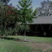 Growing Tree 5 Year Timelapse From My Backyard
