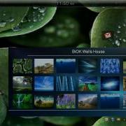 BiOK Flux OS Retro Version