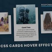 CSS Responsive Card Hover Effects Html CSS