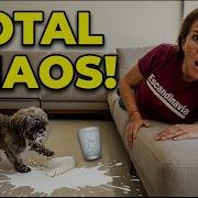 Insane Split Second Fails Of 2026 Unbelievable Moments That Gone Wrong